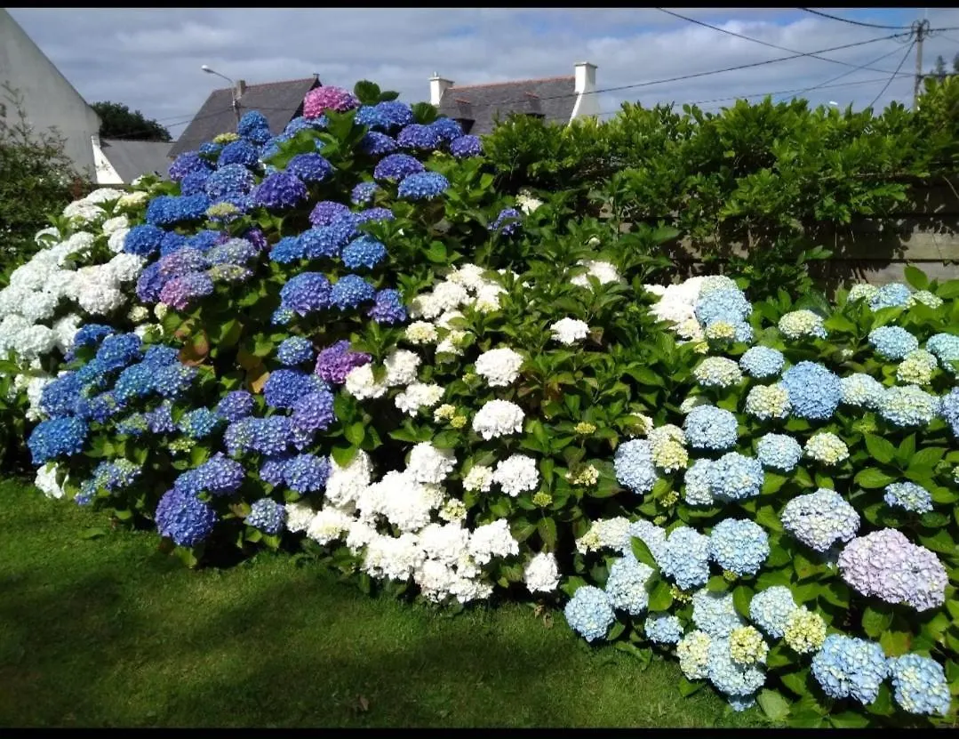 Bed & Breakfast Les Hortensias Plouvien